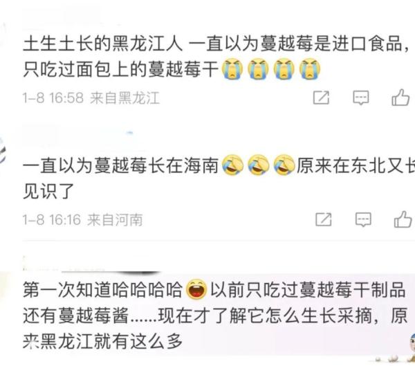 黑龙江蔓越莓?四川鱼子酱?江苏,你有没有什么瞒着我??? 黑龙江蔓越莓?四川鱼子酱?江苏,你有没有什么瞒着我???