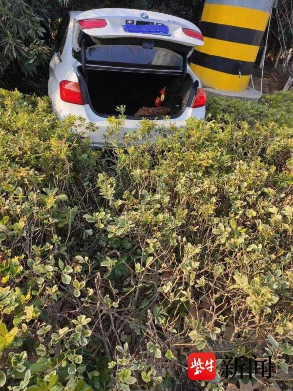 心太急误闯红灯，小轿车撞车后冲上绿化带