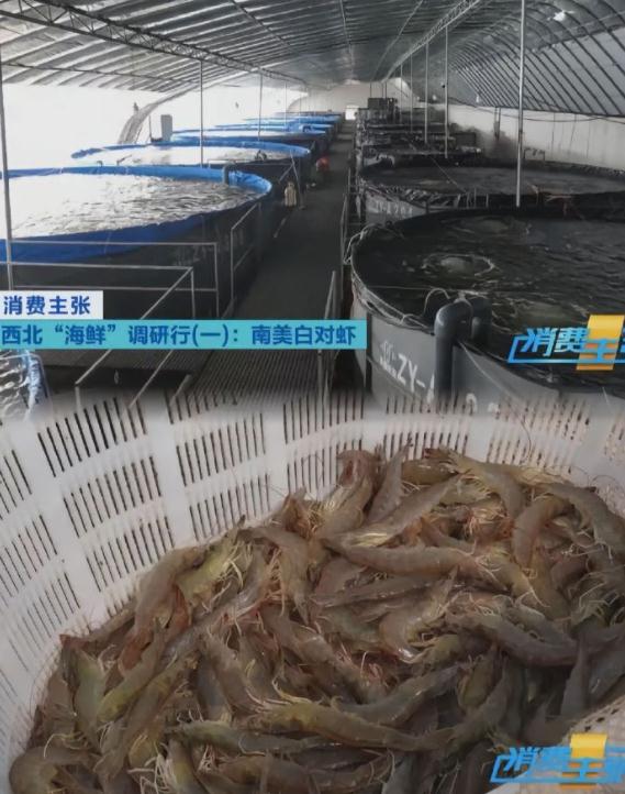 “尔滨”回礼蔓越莓后，全网破防：我咋不知道家乡有这些特产……