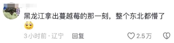 “尔滨”回礼蔓越莓后，全网破防：我咋不知道家乡有这些特产……