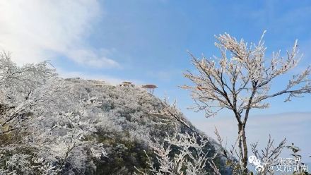 张家界七星山对全国人民警察免费开放