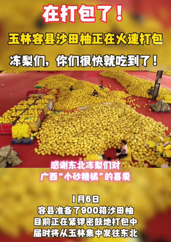 “尔滨”回礼蔓越莓后，全网破防：我咋不知道家乡有这些特产……