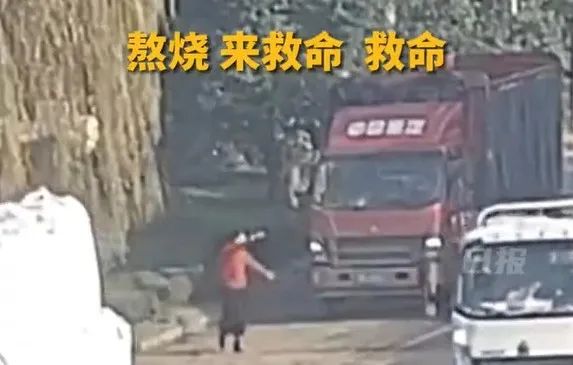 大妈路口一声吼，抢下一条命！