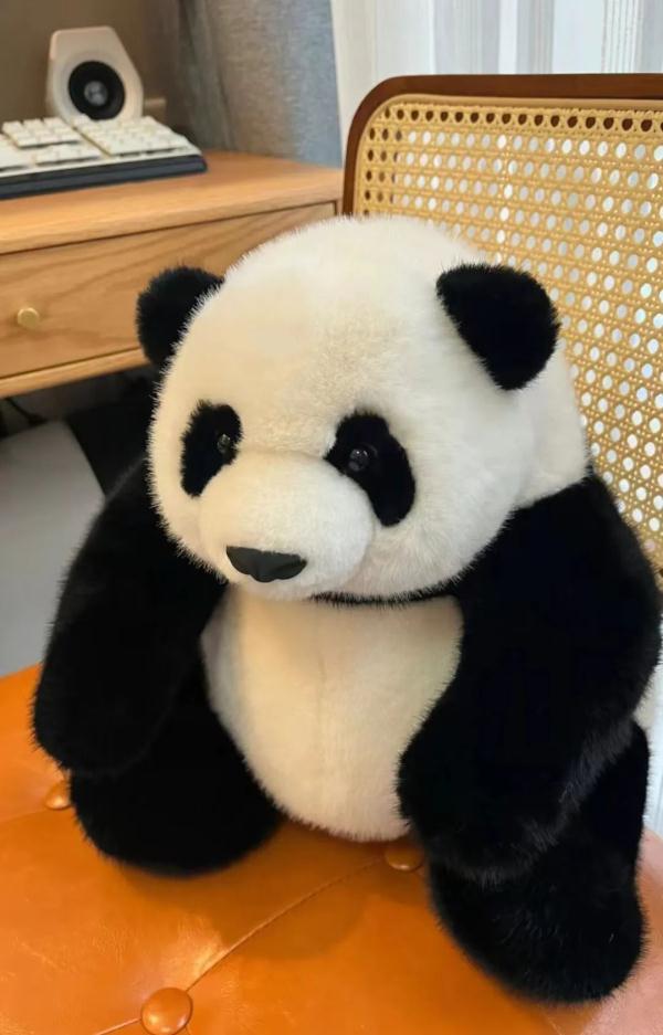 冻梨怎样才不会化……放假了,什么都想给爸爸妈妈带回家尝一尝! 冻梨怎样才不会化……放假了,什么都想给爸爸妈妈带回家尝一尝!