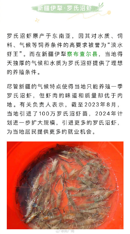 我的家乡特产就是特地瞒着我产