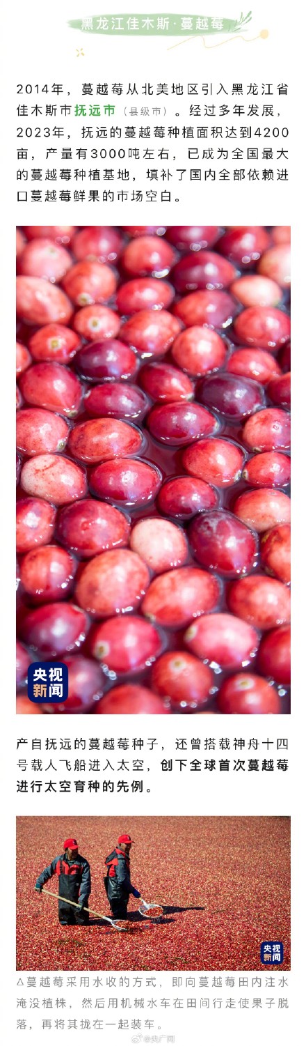 我的家乡特产就是特地瞒着我产