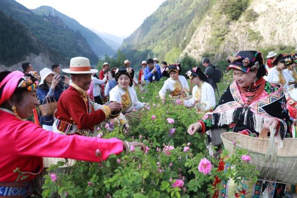 四川农业大摸底！各地的宝藏特产藏不住了