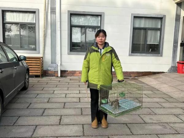 “天降”大鸟，一查来头还不小……