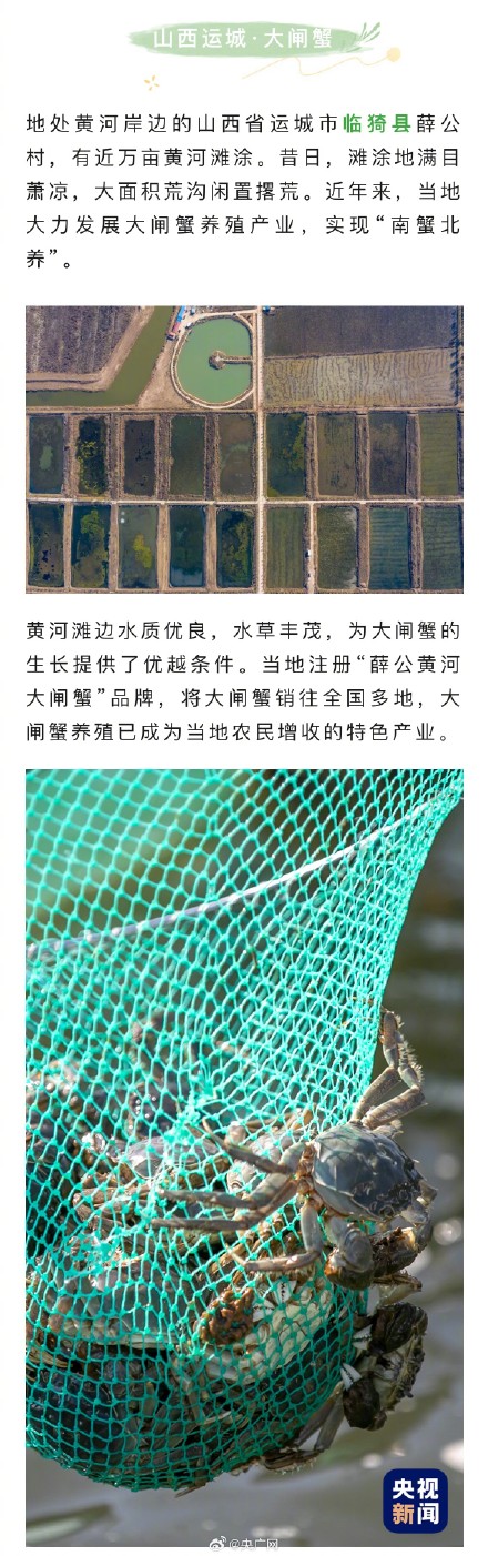 我的家乡特产就是特地瞒着我产