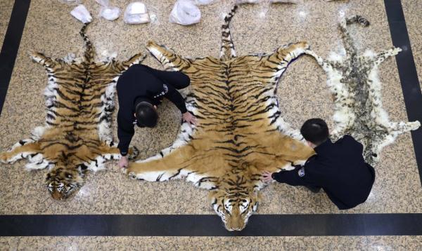 新华全媒+丨海关缉私部门：国境线上的忠诚卫士