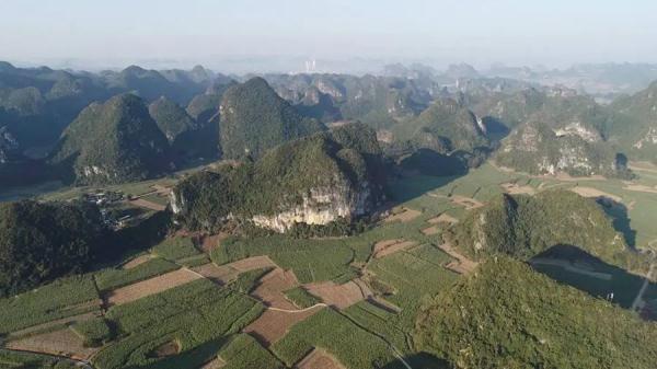 山大教授顶级期刊《Nature》发文!首次揭示巨猿绝灭之谜 山大教授顶级期刊《Nature》发文!首次揭示巨猿绝灭之谜