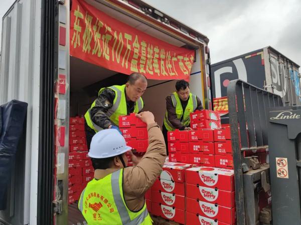 @南宁人，来自抚远的蔓越莓到啦！领取方式看过来！