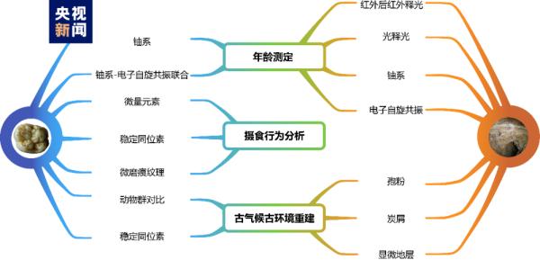 地球有史以来体型最大的灵长类“步氏巨猿”为何绝灭?科研人员揭秘 地球有史以来体型最大的灵长类“步氏巨猿”为何绝灭?科研人员揭秘