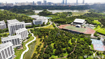 深圳高校迎来假期打卡热潮