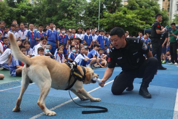 新华全媒+丨海关缉私部门：国境线上的忠诚卫士