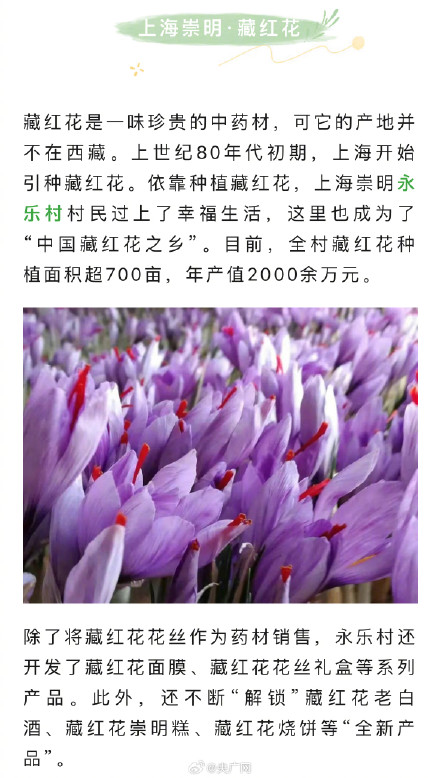 我的家乡特产就是特地瞒着我产