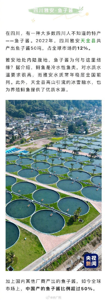 我的家乡特产就是特地瞒着我产