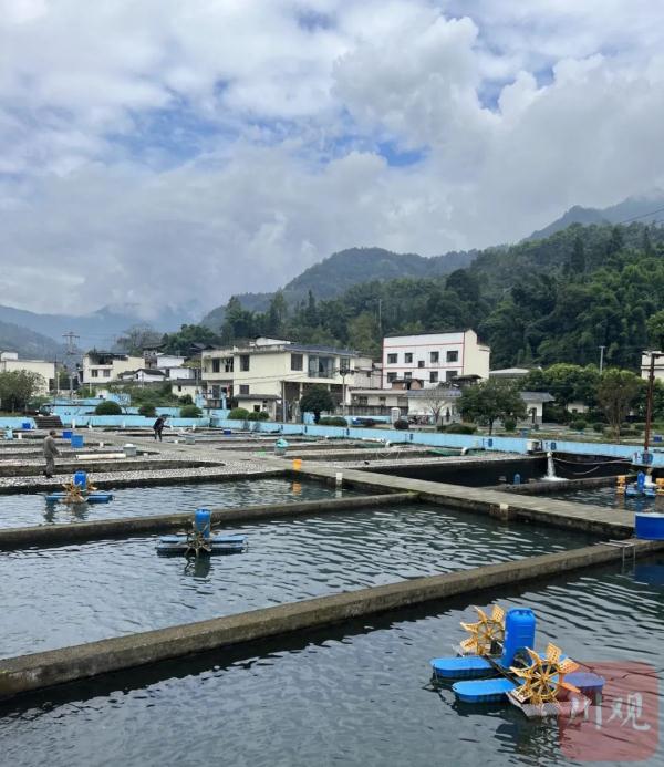 四川农业大摸底！各地的宝藏特产藏不住了