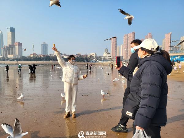 网友在青岛栈桥帮游客拍照遭驱赶恐吓？官方：已对相关业户停业整顿