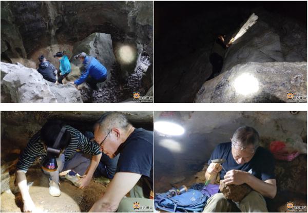 山大教授顶级期刊《Nature》发文!首次揭示巨猿绝灭之谜 山大教授顶级期刊《Nature》发文!首次揭示巨猿绝灭之谜