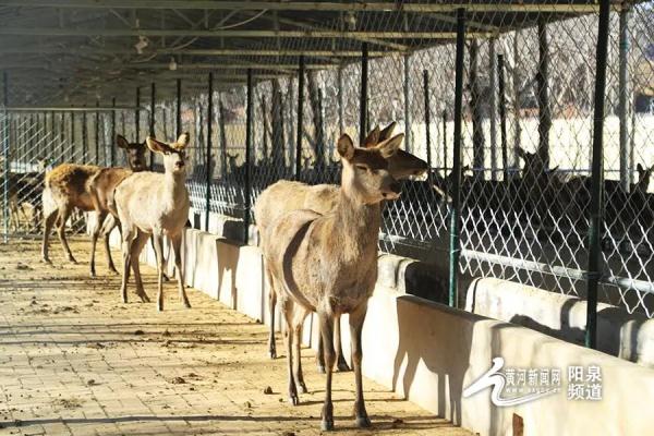 特产大摸底!阳泉还产……钻石?? 特产大摸底!阳泉还产……钻石??