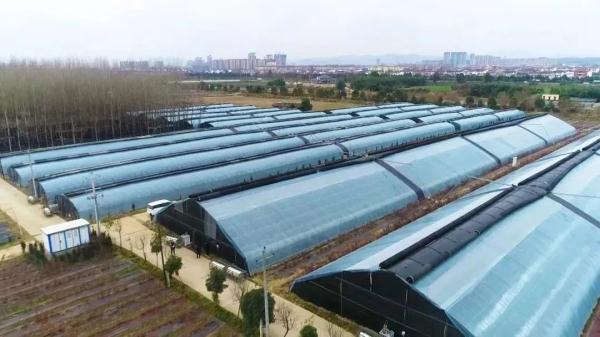 澳龙三文鱼南美对虾?陕西你到底还有多少好东西是我不知道的? 澳龙三文鱼南美对虾?陕西你到底还有多少好东西是我不知道的?