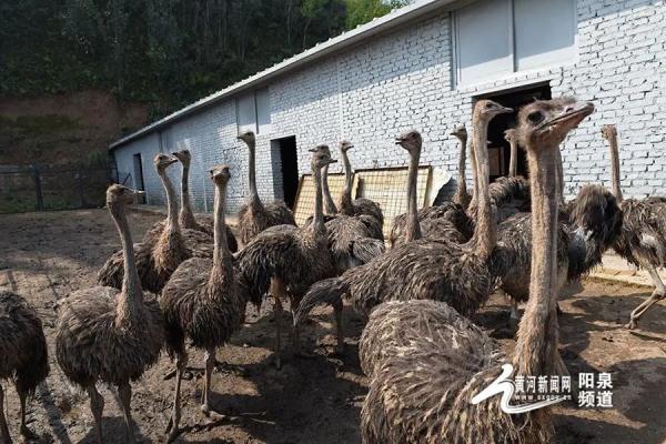 特产大摸底!阳泉还产……钻石?? 特产大摸底!阳泉还产……钻石??