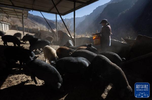 深藏高山深谷间的传统羌寨