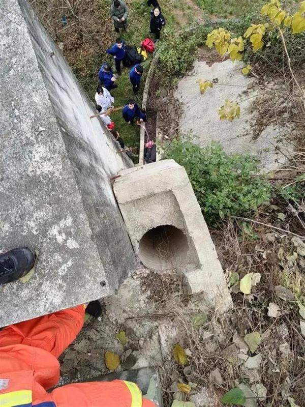 9岁男孩失踪6天，找到时他……网友：到底发生了什么？