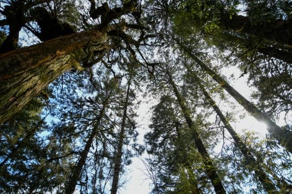 重访海螺沟 重访海螺沟