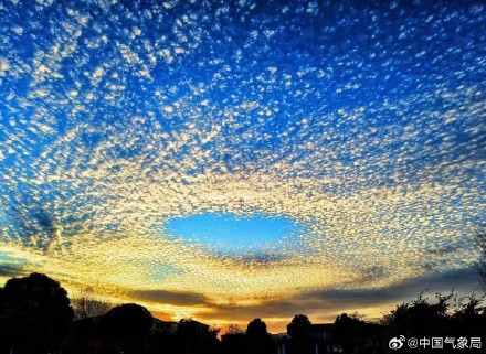 云南多地出现大片鱼鳞云