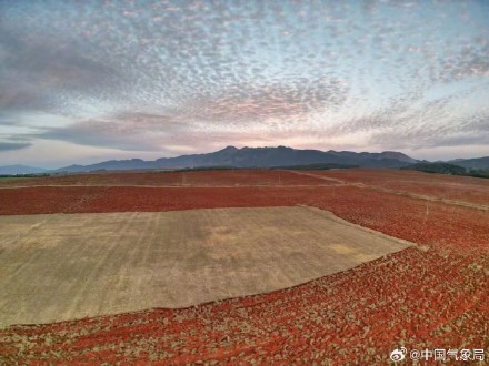 云南多地出现大片鱼鳞云