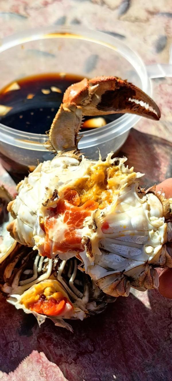 甘肃的南美对虾只是开始，还有螃蟹、加州鲈鱼……