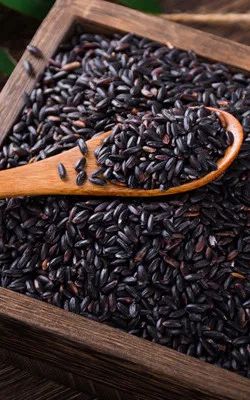 澳龙三文鱼南美对虾?陕西你到底还有多少好东西是我不知道的? 澳龙三文鱼南美对虾?陕西你到底还有多少好东西是我不知道的?