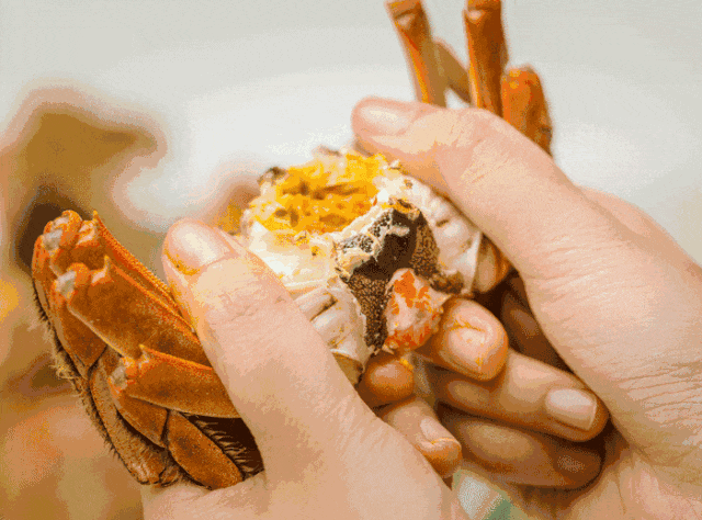 澳龙三文鱼南美对虾?陕西你到底还有多少好东西是我不知道的? 澳龙三文鱼南美对虾?陕西你到底还有多少好东西是我不知道的?