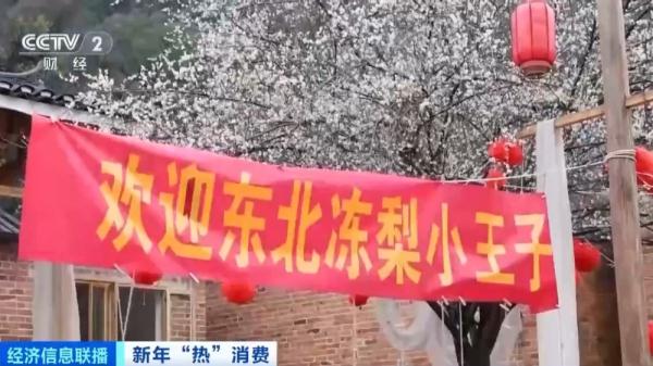 “小东北虎”来桂林了！广西各地欢迎东北游客，南北旅游双向奔赴