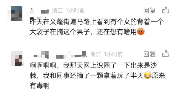 别摘别吃！有剧毒！郑州绿化带常见