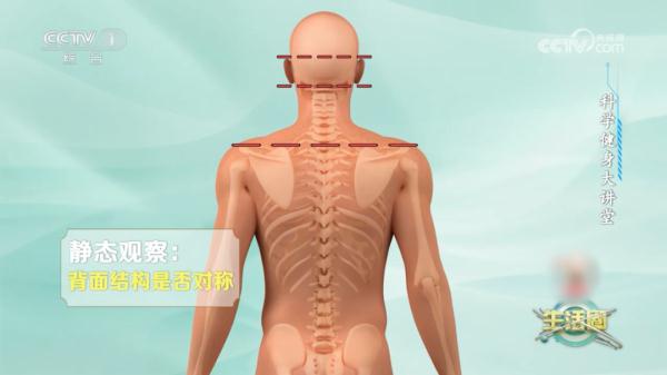 实用教程！颈椎喜欢的这几个动作，快来跟练→