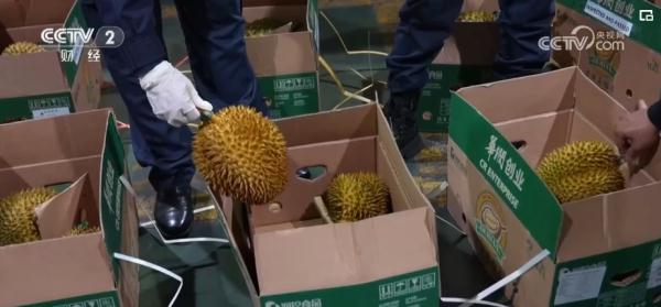 农产品“进口圈”再扩大 中国日益成为世界共享大市场