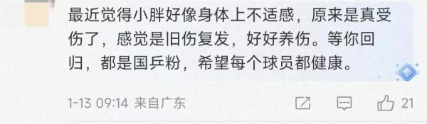 樊振东罕见退赛