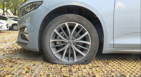 车主集体报警！“受害车全是外地牌”