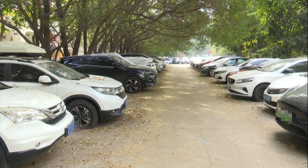 车主集体报警！“受害车全是外地牌”