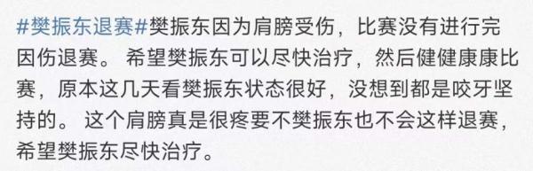 樊振东罕见退赛