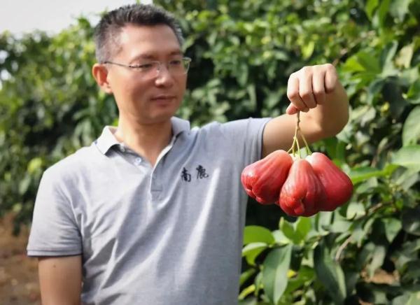 “海南牌”水果“圈粉”海外！凭啥？