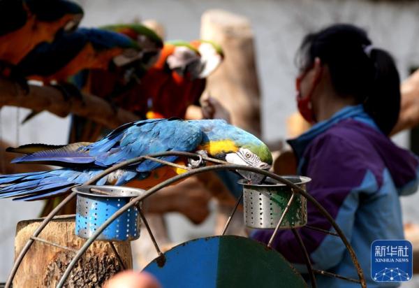 上海动物园：多种举措丰富动物生活