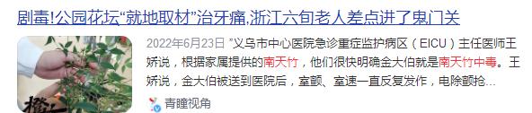 警惕！这植物全株有毒，切勿摘食！家有小孩的尤其要注意→