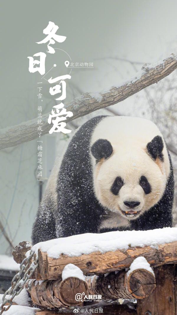 收藏！专属于冬日的浪漫氛围感