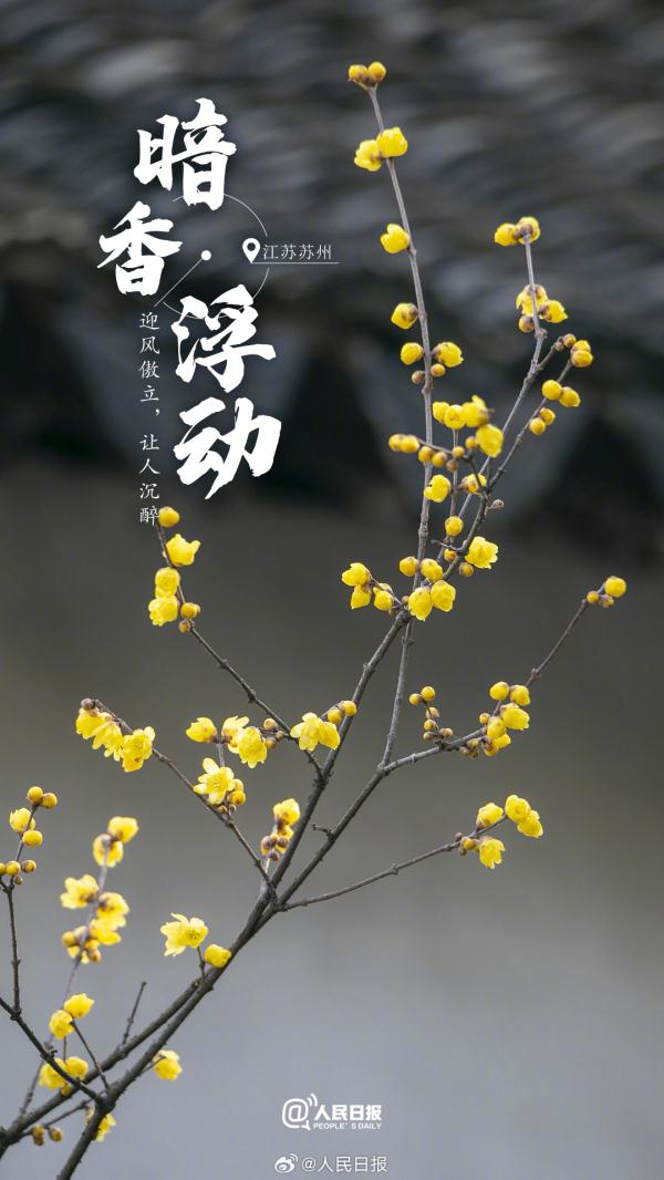 收藏！专属于冬日的浪漫氛围感