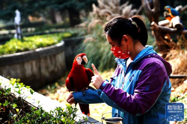 上海动物园：多种举措丰富动物生活