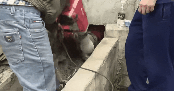 重庆9岁男孩失踪7天竟是被困这里—— 重庆9岁男孩失踪7天竟是被困这里——